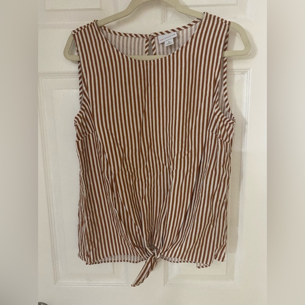 Liz Claiborne Women’s Striped Brown and White Women's Top Size M